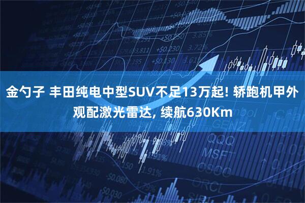 金勺子 丰田纯电中型SUV不足13万起! 轿跑机甲外观配激光雷达, 续航630Km