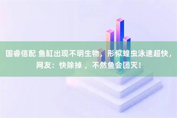 国睿信配 鱼缸出现不明生物，形似蝗虫泳速超快，网友：快除掉 ，不然鱼会团灭！
