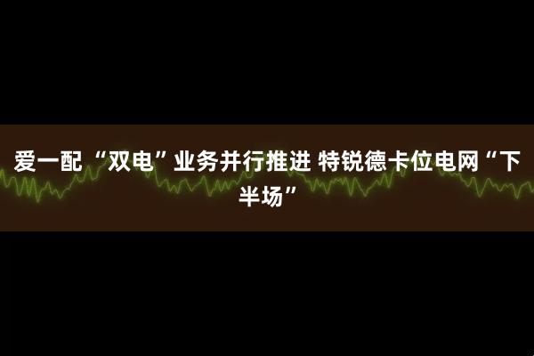 爱一配 “双电”业务并行推进 特锐德卡位电网“下半场”