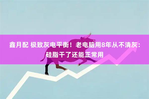 鑫月配 极致灰电平衡！老电脑用8年从不清灰：硅脂干了还能正常用
